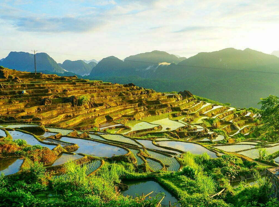 PuLuong
